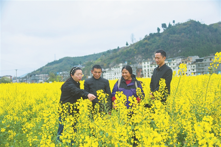 106f51f7-29de-42d5-ad34-1c0185e3efdc.jpg 106f51f7-29de-42d5-ad34-1c0185e3efdc.jpg