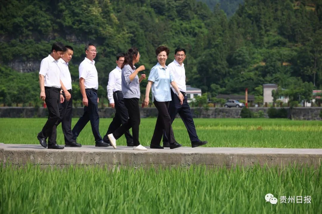 dd6595d1-ba63-405b-9143-037d83c7dd7b.jpg